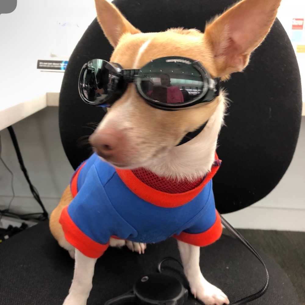 Meet your Posher, Maria